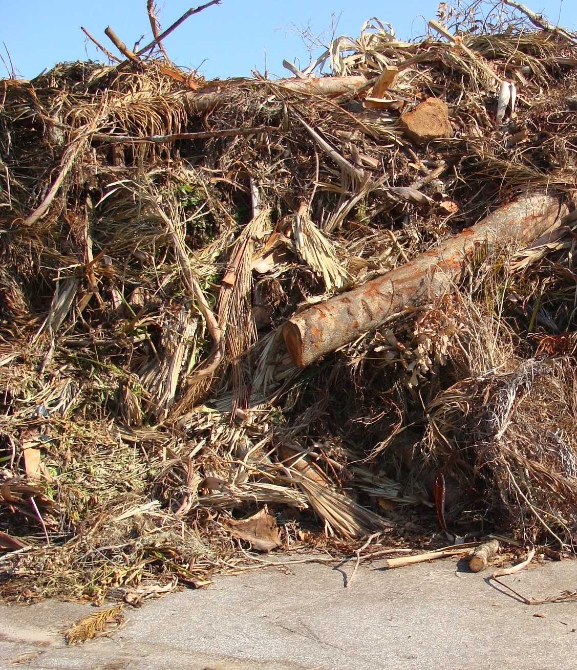 YardWaste - Copy - Copy - Copy - Copy